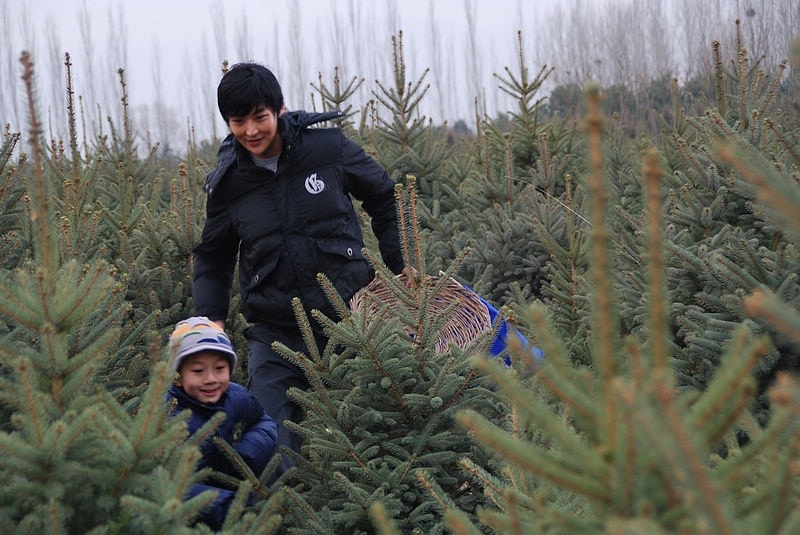 http://www.fjsenfa.cn/pics/default/download/e1b80f4973701692d37e63b9b0b4c428.jpg