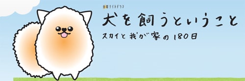 養(yǎng)狗這回事相關(guān)圖片