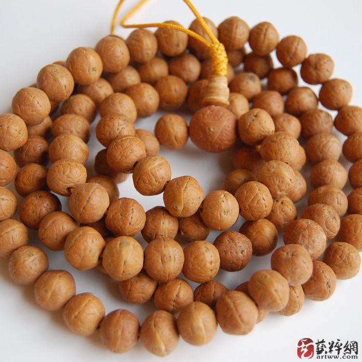 http://www.fjsenfa.cn/pics/default/download/e1ed0ad42ce7cd2ea0a473b305f230e6.jpg