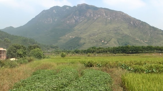 http://www.fjsenfa.cn/pics/default/download/e279499ee00048e71c23f8d74dac3889.jpg