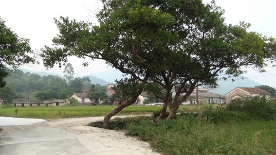 http://www.fjsenfa.cn/pics/default/download/e296af2e3da7cdb20fbfe59148a839dd.jpg