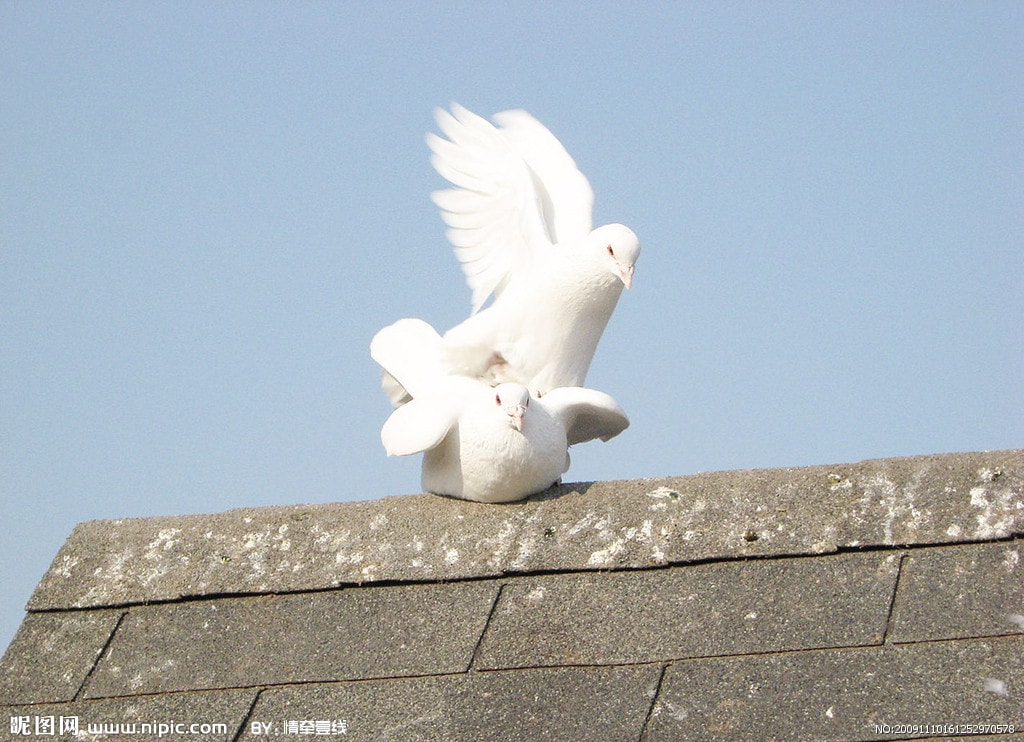 http://www.fjsenfa.cn/pics/default/download/e2a374c8fb48b4ca4a8018209c72cdd4.jpg