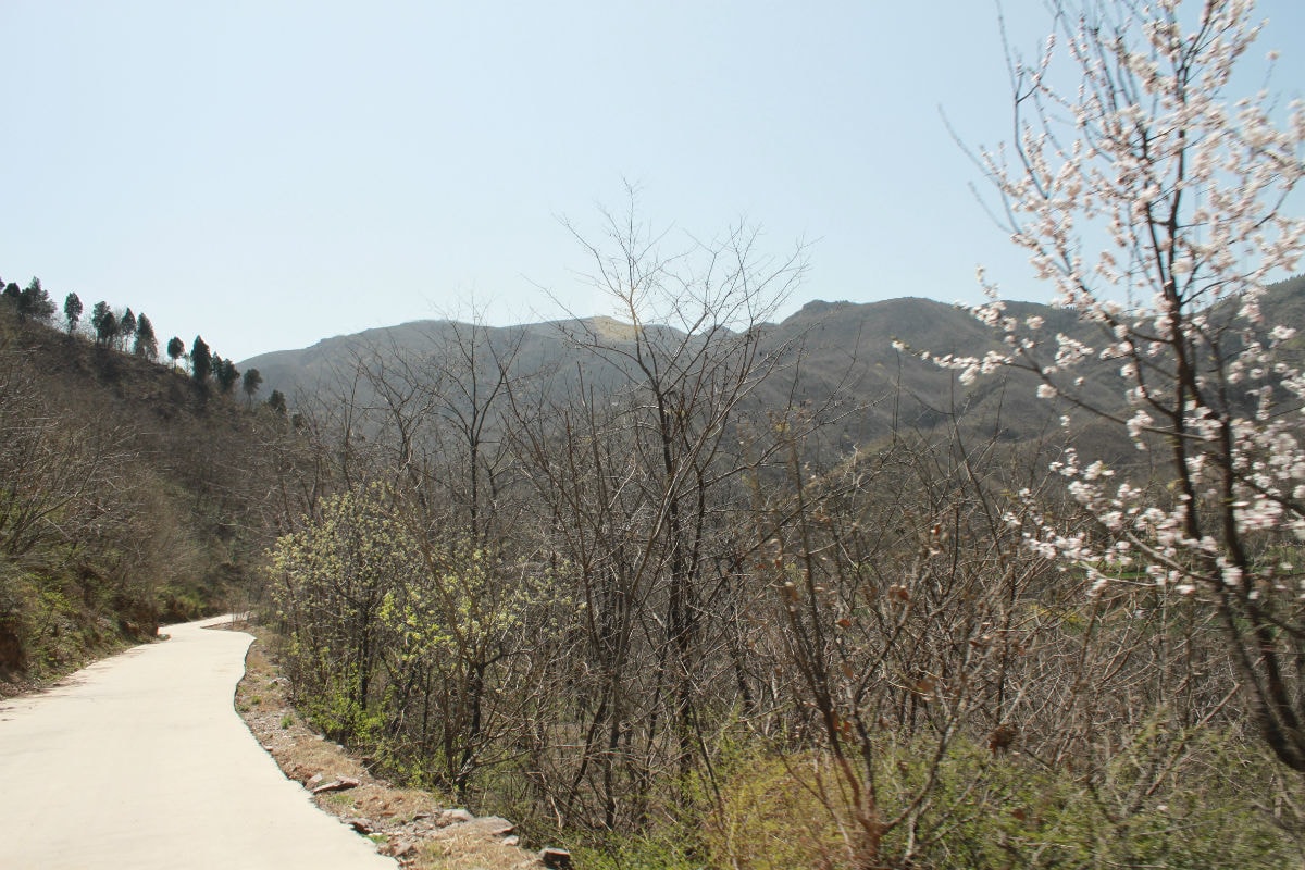 http://www.fjsenfa.cn/pics/default/download/e2e0892ab7b73fa91356db6e10d2d0ed.jpg