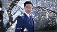 臺視八點檔《春梅》片頭