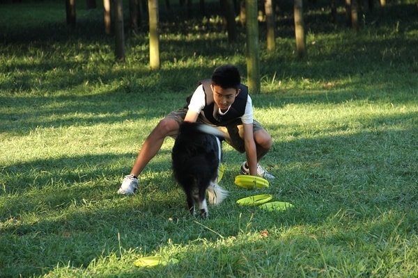 http://www.fjsenfa.cn/pics/default/download/e32d2a97d3787fe0fc128120ec2fd443.jpg