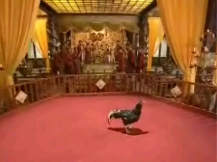 http://www.fjsenfa.cn/pics/default/download/e33d5ed5cb05febfe994f10d72ea6d00.jpg