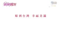 16.薌劇-歌仔戲-民視最新10（十）點(diǎn)大戲新娘嫁到-一場(chǎng)車(chē)禍，家庭驟變