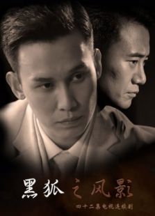 黑狐之風影