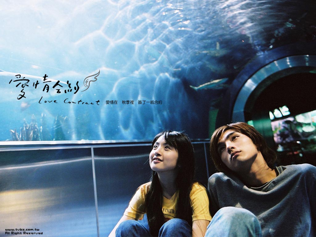 http://www.fjsenfa.cn/pics/default/download/e3b801ac9f7913607a94bd399d0843b7.jpg