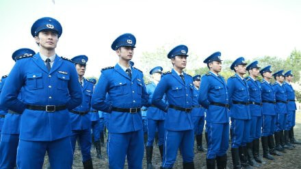 http://www.fjsenfa.cn/pics/default/download/e48072afc8752d96eac98680c5df68bf.jpg