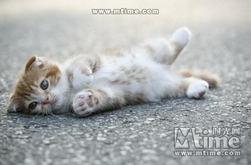 http://www.fjsenfa.cn/pics/default/download/e4ba12905f3ec540ea161f13ad5d0463.jpg