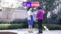 妻子的秘密TV版 第21集預告