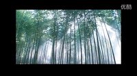 三生石  鐘漢良  原創(chuàng)mv