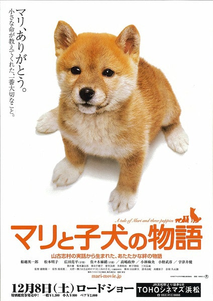 http://www.fjsenfa.cn/pics/default/download/e627703a769baa535435e7d7a7c0aa20.jpg