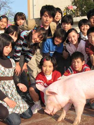http://www.fjsenfa.cn/pics/default/download/e6a8da11d6fc6440cc60253a480bf039.jpg