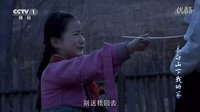 [FF]長(zhǎng)白山下我的家