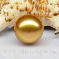 金珍珠?