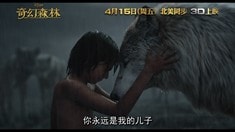 中國版預(yù)告片