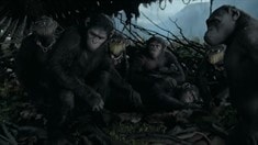 制作特輯之Survivor's Story