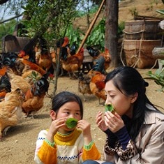 http://www.fjsenfa.cn/pics/default/download/e9c4edab99621160a165a9ee8d6e7f26.jpg