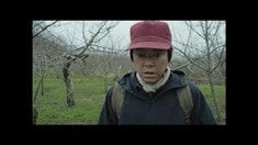 預告片