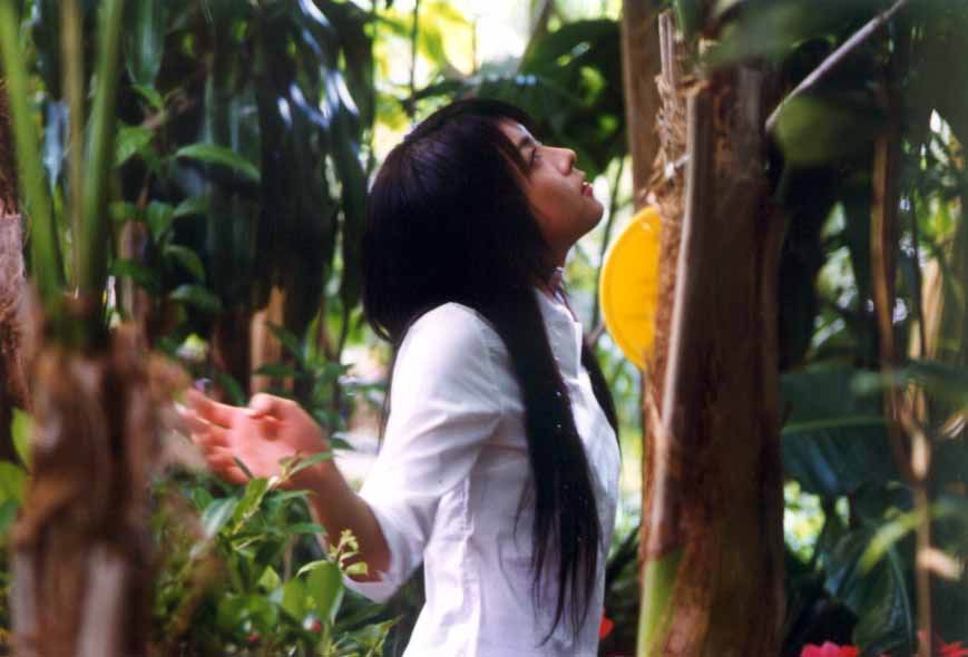 http://www.fjsenfa.cn/pics/default/download/ea06cd4fcf54ed02f03dfe92952d2956.jpg