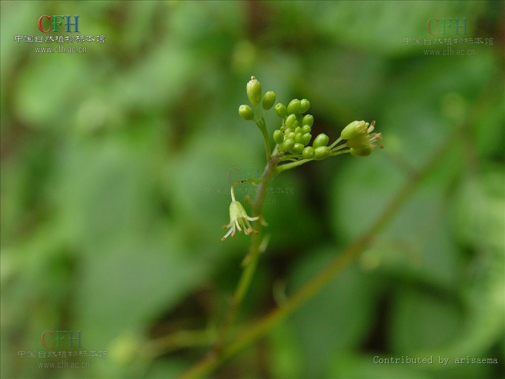 http://www.fjsenfa.cn/pics/default/download/eb8b282fcd18676733e0f78e3f4e5ba6.jpg