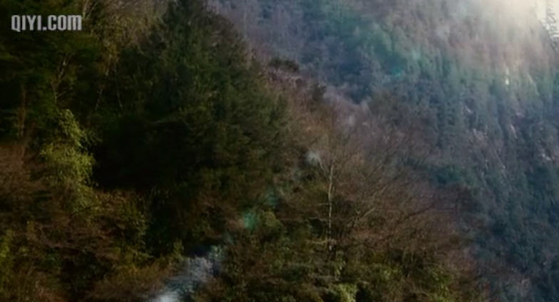 http://www.fjsenfa.cn/pics/default/download/ec5dc79e0d04e15cc9bf9c80b114b5ad.jpg