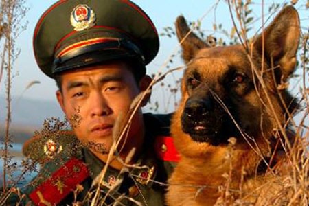 http://www.fjsenfa.cn/pics/default/download/ec7739d4a33a88d813f3425ab91516fb.jpg