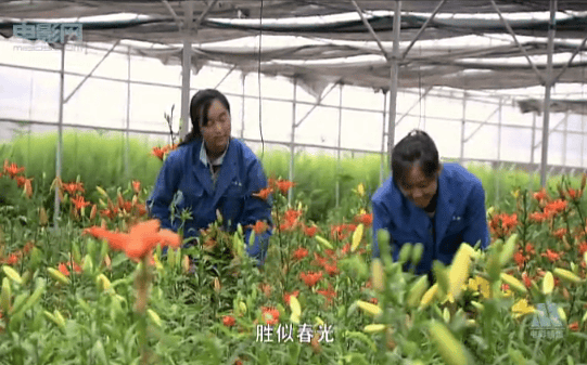 http://www.fjsenfa.cn/pics/default/download/ed0a81ba1ef8f5942f60e05dcf3c8778.jpg