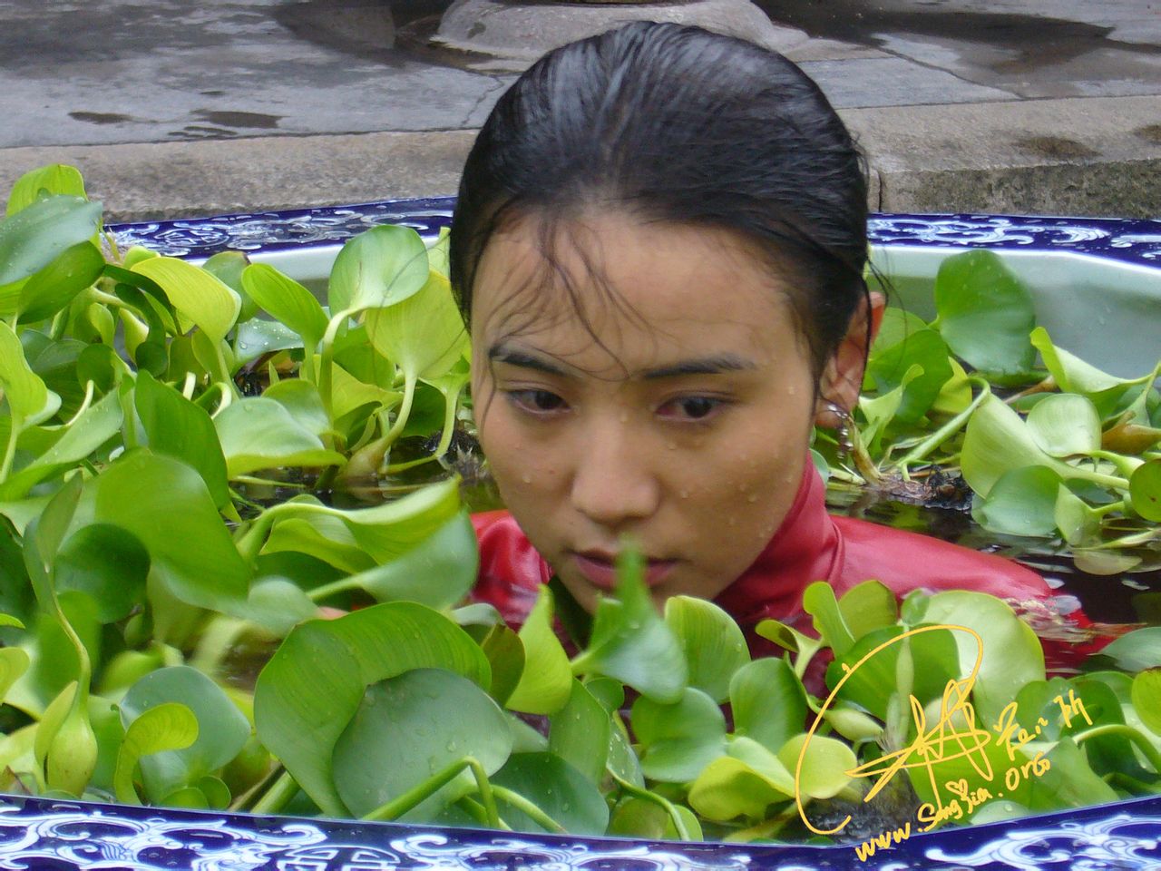 http://www.fjsenfa.cn/pics/default/download/eed05472b3c680182543abb3dd08adb0.jpg