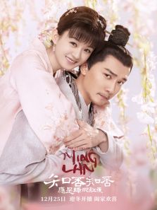 知否知否應是綠肥紅瘦[TV剪輯版]
