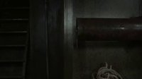 天魔異種，不要隨便在海里撈東西 科，切記！