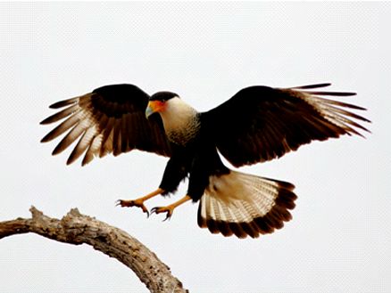 http://www.fjsenfa.cn/pics/default/download/efa92fe5de6e5b6902d534b3fad97b8f.jpg