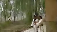 大漢天子第一部2