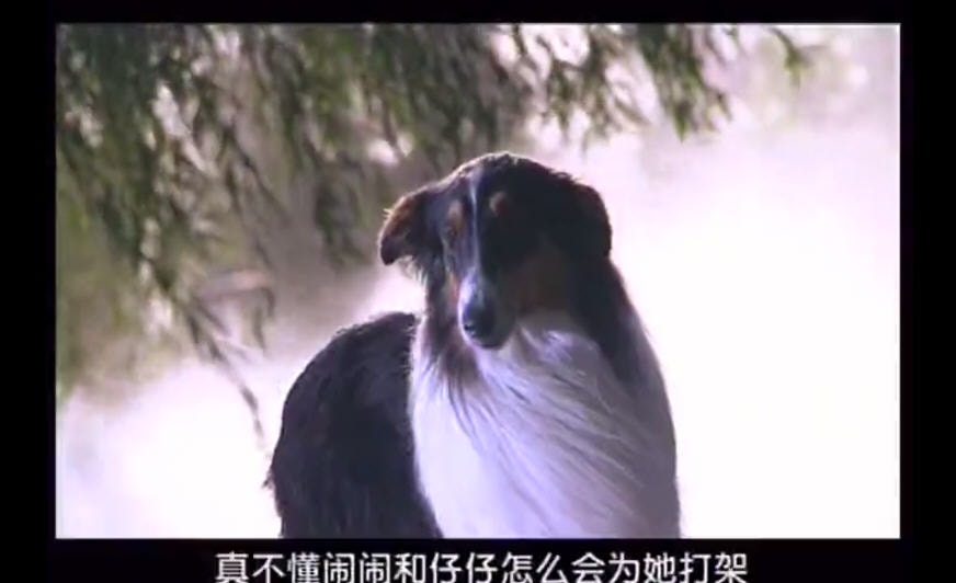 http://www.fjsenfa.cn/pics/default/download/f084fac1fd9557e400011cdc42205477.jpg