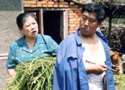 都市外鄉(xiāng)人劇照