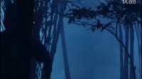 絕版泰影槍?xiě)?zhàn)-特種戰(zhàn)將DVD