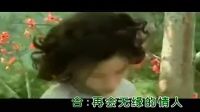 電視劇《木棉花的春天》主題曲《再會無緣的情人》，經典好聽