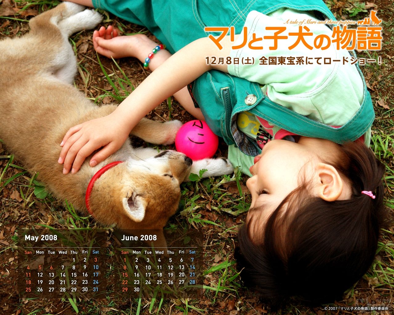 http://www.fjsenfa.cn/pics/default/download/f18bcddf680cae6594ee3dd62aa4da47.jpg