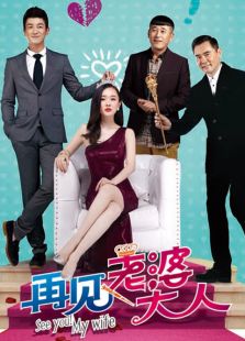 再見，老婆大人