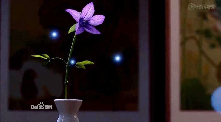 http://www.fjsenfa.cn/pics/default/download/f262eb34905d01e6cd30905832b3354d.jpg