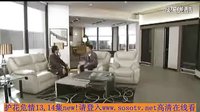 護(hù)花危情13,14全集