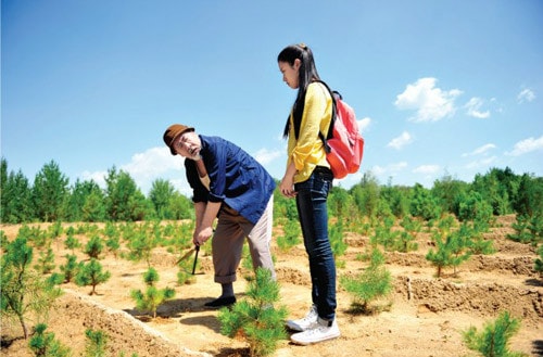http://www.fjsenfa.cn/pics/default/download/f2cf/c065a4db7d305859acc13fdbb392.jpg