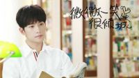 《微微一笑很傾城》楊洋個(gè)人向
