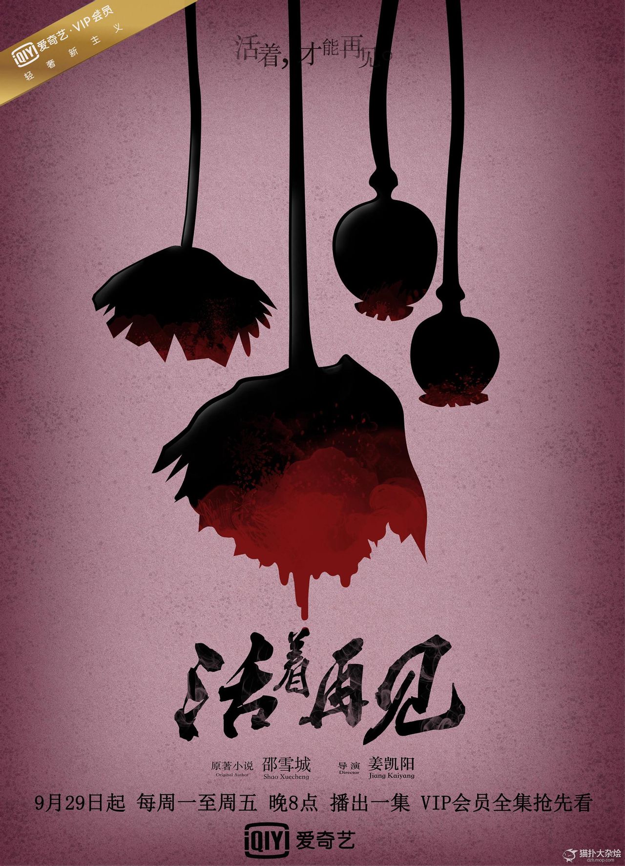 http://www.fjsenfa.cn/pics/default/download/f37973a3a02c88c9ce78b08ff5429b2c.jpg