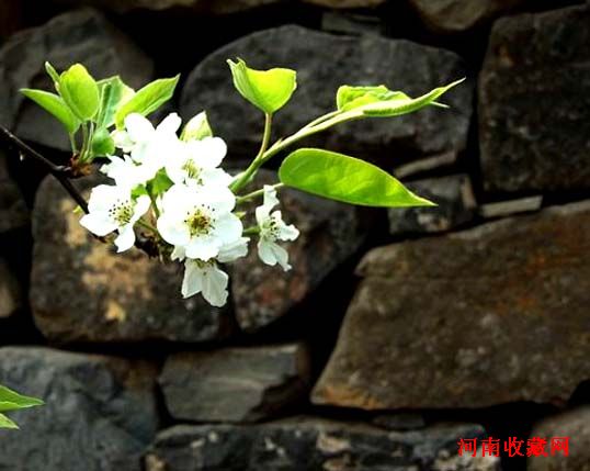 http://www.fjsenfa.cn/pics/default/download/f3bdca0a06924b28c602f1357d68e8e4.jpg