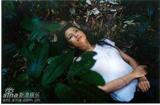 http://www.fjsenfa.cn/pics/default/download/f41eb06ba2fc90cc3a47e115d3d6e36c.jpg