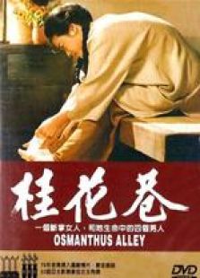 桂花巷 國語