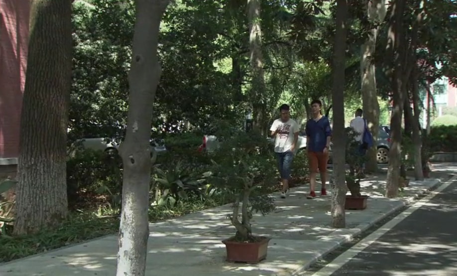 http://www.fjsenfa.cn/pics/default/download/f502d6a36d03653e111cab6668379c9c.jpg